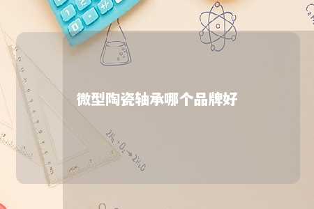 微型陶瓷轴承哪个品牌好 